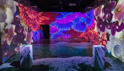 LUME Studios